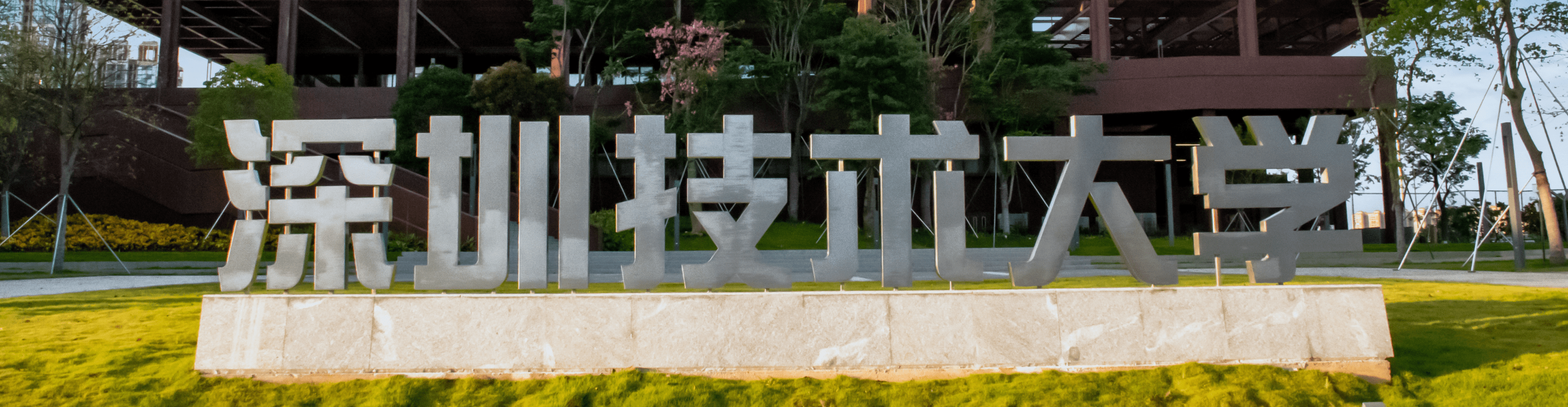 师资力量